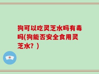 狗可以吃灵芝水吗有毒吗(狗能否安全食用灵芝水？)