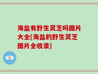 海盐有野生灵芝吗图片大全(海盐的野生灵芝图片全收录)