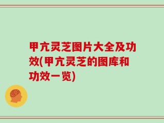 甲亢灵芝图片大全及功效(甲亢灵芝的图库和功效一览)
