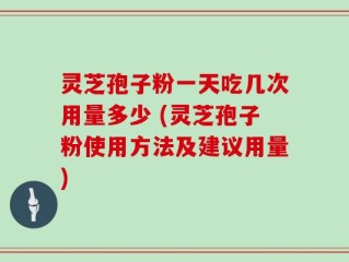 灵芝孢子粉一天吃几次用量多少 (灵芝孢子粉使用方法及建议用量)