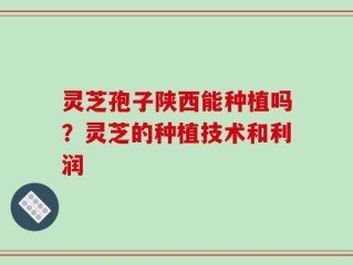 灵芝孢子陕西能种植吗？灵芝的种植技术和利润