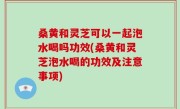 桑黄和灵芝可以一起泡水喝吗功效(桑黄和灵芝泡水喝的功效及注意事项)