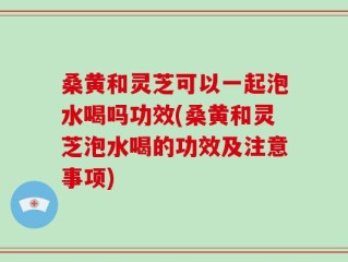 桑黄和灵芝可以一起泡水喝吗功效(桑黄和灵芝泡水喝的功效及注意事项)