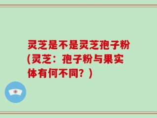 灵芝是不是灵芝孢子粉(灵芝：孢子粉与果实体有何不同？)