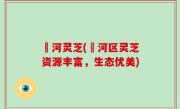 瀍河灵芝(瀍河区灵芝资源丰富，生态优美)