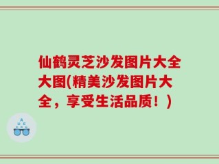 仙鹤灵芝沙发图片大全大图(精美沙发图片大全，享受生活品质！)