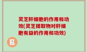灵芝肝细胞的作用和功效(灵芝提取物对肝细胞有益的作用和功效)