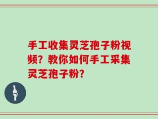 手工收集灵芝孢子粉视频？教你如何手工采集灵芝孢子粉？