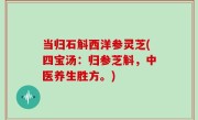 当归石斛西洋参灵芝(四宝汤：归参芝斛，中医养生胜方。)