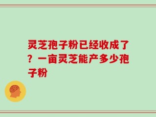 灵芝孢子粉已经收成了？一亩灵芝能产多少孢子粉