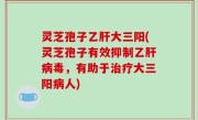 灵芝孢子乙肝大三阳(灵芝孢子有效抑制乙肝病毒，有助于治疗大三阳病人)