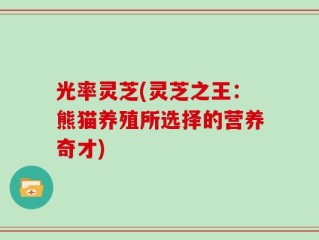 光率灵芝(灵芝之王：熊猫养殖所选择的营养奇才)