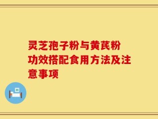 灵芝孢子粉与黄芪粉 功效搭配食用方法及注意事项