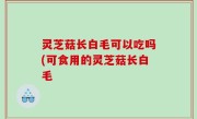 灵芝菇长白毛可以吃吗(可食用的灵芝菇长白毛