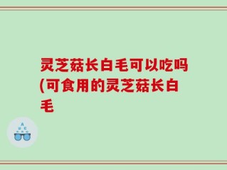 灵芝菇长白毛可以吃吗(可食用的灵芝菇长白毛