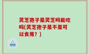 灵芝孢子是灵芝吗能吃吗(灵芝孢子是不是可以食用？)