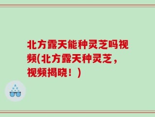 北方露天能种灵芝吗视频(北方露天种灵芝，视频揭晓！)