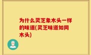 为什么灵芝象木头一样的味道(灵芝味道如同木头)