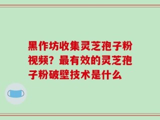 黑作坊收集灵芝孢子粉视频？最有效的灵芝孢子粉破壁技术是什么