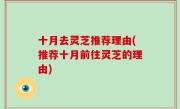十月去灵芝推荐理由(推荐十月前往灵芝的理由)