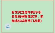 野生灵芝是珍贵药材(珍贵药材野生灵芝，药膳或将成新热门品类)
