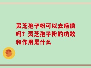 灵芝孢子粉可以去疤痕吗？灵芝孢子粉的功效和作用是什么