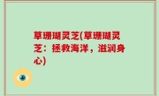 草珊瑚灵芝(草珊瑚灵芝：拯救海洋，滋润身心)