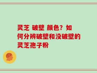 灵芝 破壁 颜色？如何分辨破壁和没破壁的灵芝孢子粉