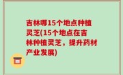 吉林哪15个地点种植灵芝(15个地点在吉林种植灵芝，提升药材产业发展)