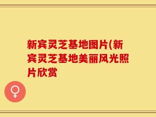 新宾灵芝基地图片(新宾灵芝基地美丽风光照片欣赏