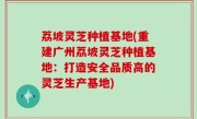 荔坡灵芝种植基地(重建广州荔坡灵芝种植基地：打造安全品质高的灵芝生产基地)