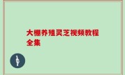 大棚养殖灵芝视频教程全集