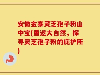 安徽金寨灵芝孢子粉山中宝(重返大自然，探寻灵芝孢子粉的庇护所)