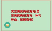 灵芝黄芪枸杞海马(灵芝黄芪枸杞海马：补气养血，延缓衰老)