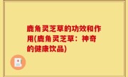 鹿角灵芝草的功效和作用(鹿角灵芝草：神奇的健康饮品)