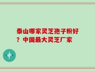 泰山哪家灵芝孢子粉好？中国最大灵芝厂家