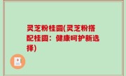 灵芝粉桂圆(灵芝粉搭配桂圆：健康呵护新选择)