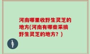 河南哪里收野生灵芝的地方(河南有哪些采摘野生灵芝的地方？)