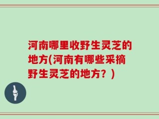 河南哪里收野生灵芝的地方(河南有哪些采摘野生灵芝的地方？)