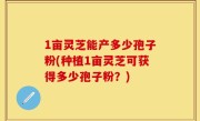 1亩灵芝能产多少孢子粉(种植1亩灵芝可获得多少孢子粉？)