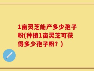 1亩灵芝能产多少孢子粉(种植1亩灵芝可获得多少孢子粉？)