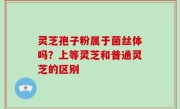 灵芝孢子粉属于菌丝体吗？上等灵芝和普通灵芝的区别