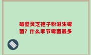 破壁灵芝孢子粉滋生霉菌？什么季节霉菌最多