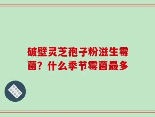 破壁灵芝孢子粉滋生霉菌？什么季节霉菌最多
