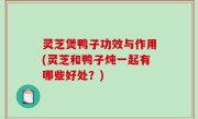 灵芝煲鸭子功效与作用(灵芝和鸭子炖一起有哪些好处？)