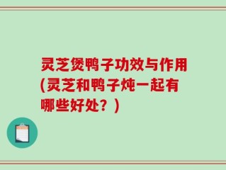 灵芝煲鸭子功效与作用(灵芝和鸭子炖一起有哪些好处？)
