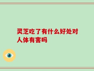 灵芝吃了有什么好处对人体有害吗