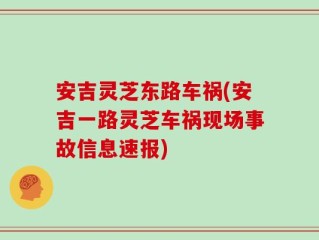 安吉灵芝东路车祸(安吉一路灵芝车祸现场事故信息速报)