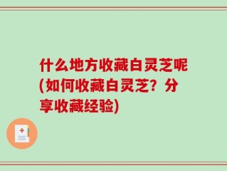 什么地方收藏白灵芝呢(如何收藏白灵芝？分享收藏经验)