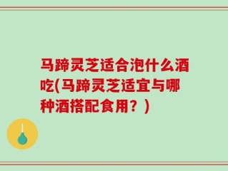 马蹄灵芝适合泡什么酒吃(马蹄灵芝适宜与哪种酒搭配食用？)